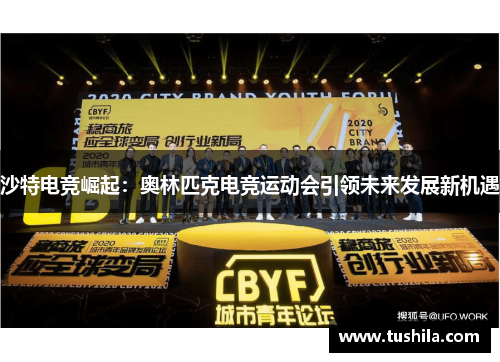 沙特电竞崛起：奥林匹克电竞运动会引领未来发展新机遇