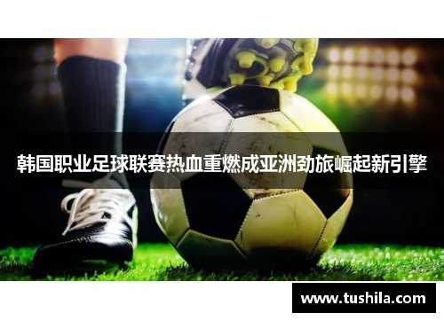 韩国职业足球联赛热血重燃成亚洲劲旅崛起新引擎