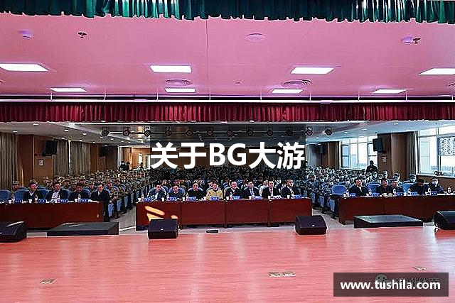 关于BG大游